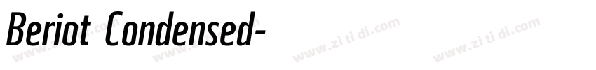 Beriot Condensed字体转换